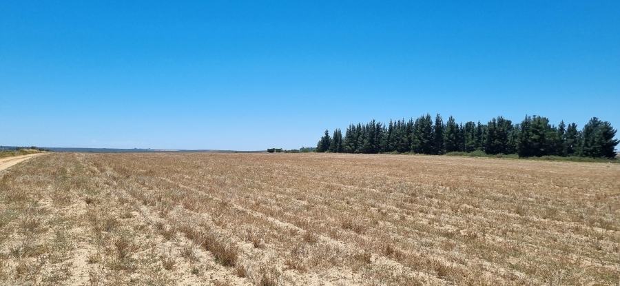 0 Bedroom Property for Sale in Nieuwoudtville Northern Cape